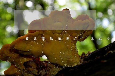 百度贷款逾期了 怎么办 百度贷款逾期了 怎么办